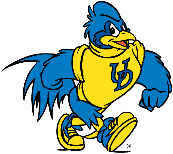 delaware blue hens 1993-pres mascot logo v5 diy iron on heat transfer